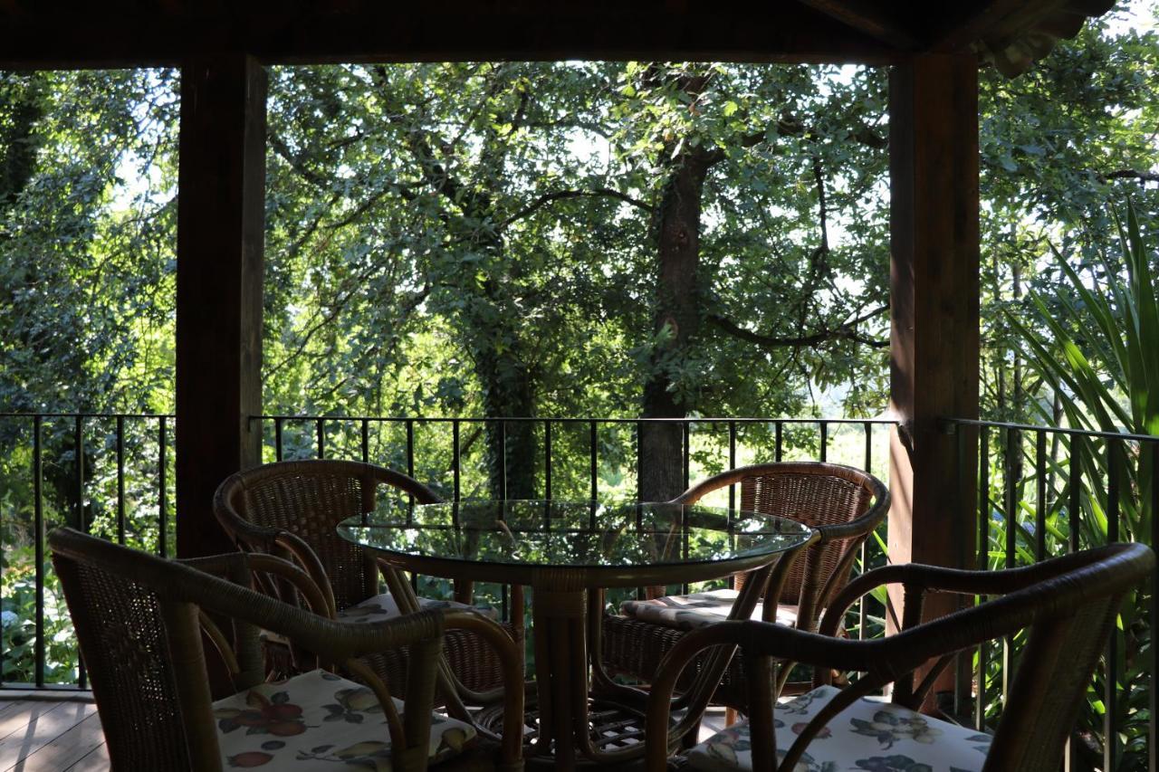 Casa Da Breia Villa Carregadouro Dış mekan fotoğraf